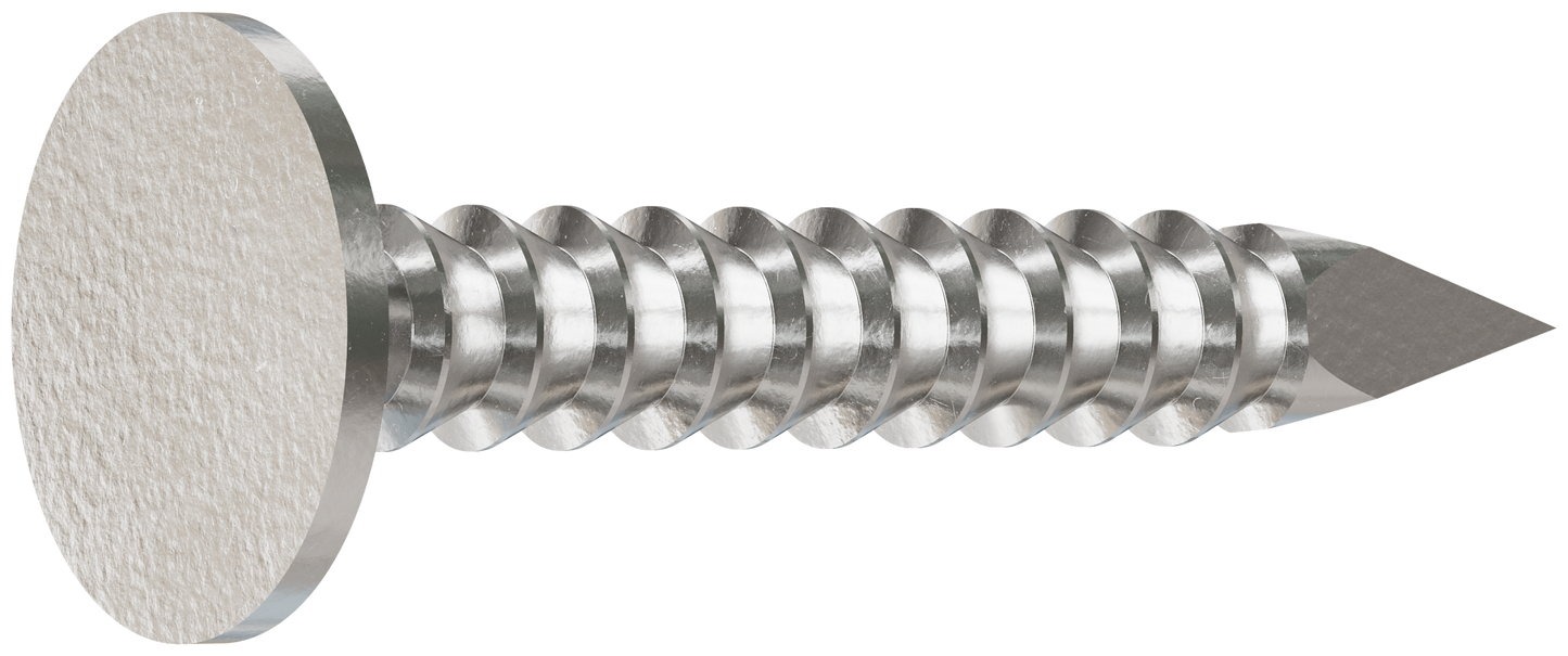 Simpson Strong-Tie S210ARN1 Roofing Nail, Annular Ring Shank — 1-in. x .131-in. Type 304 Stainless Steel (1 lb.) (Pack of 800)