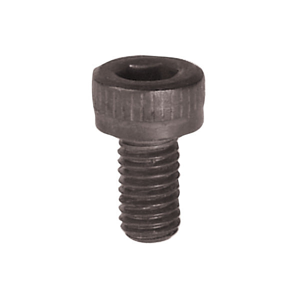 Freud 008925384892 3mm (Dia.) x 6mm Cap Screw